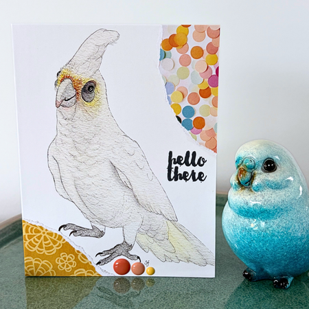 Cheeky corella 