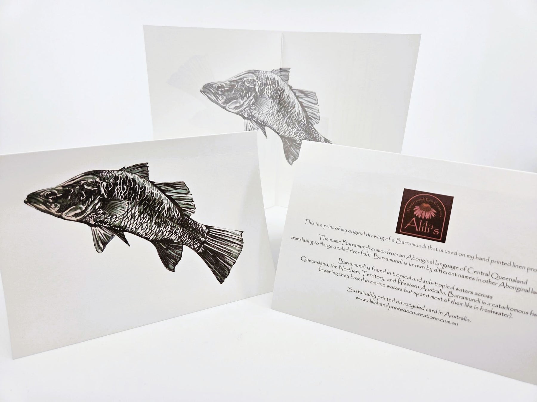 Barramundi Greeting Card (blank) -recycled paper envelope