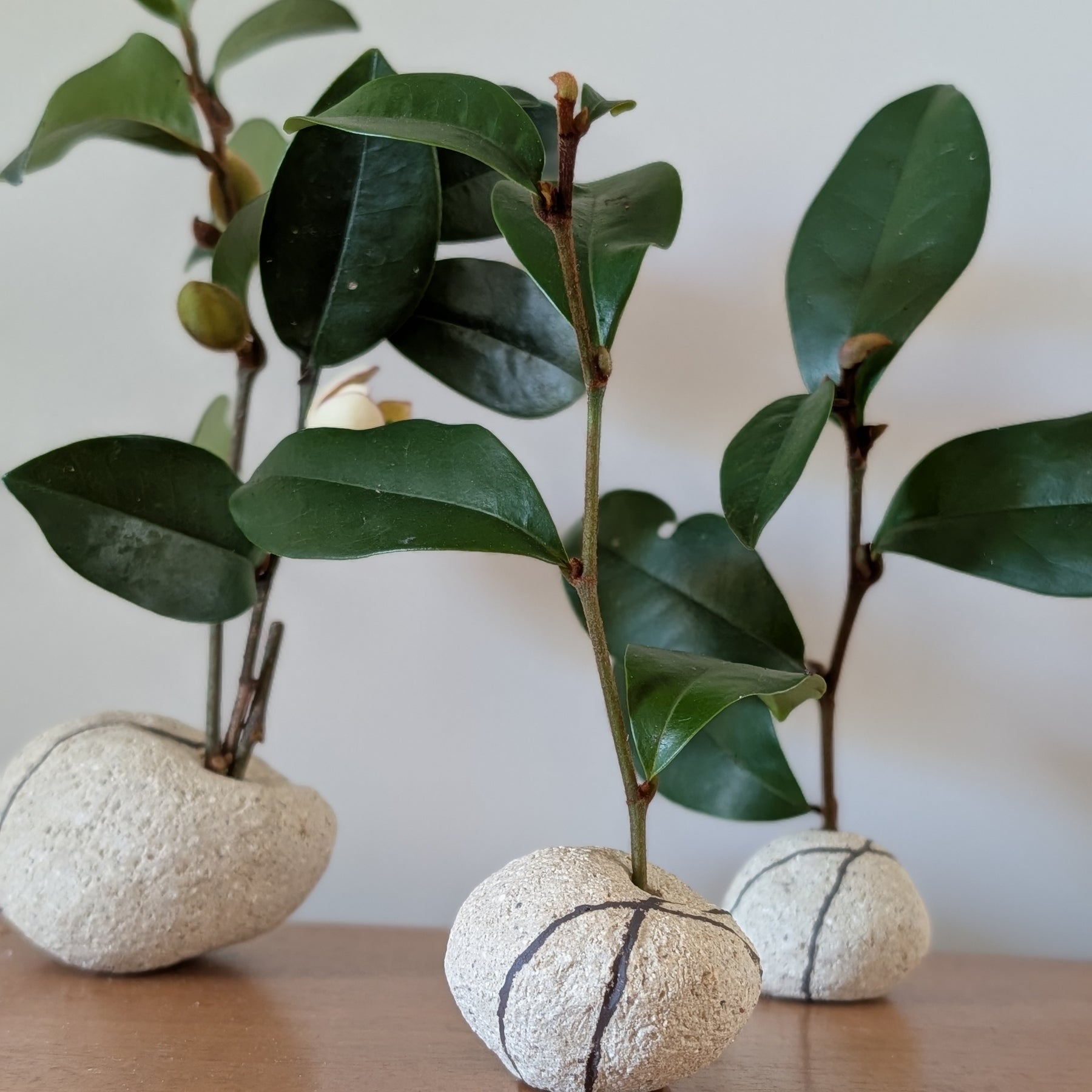 Handmade Ceramic Petite Bud Vase Set (3) | beach pebble vessels • single stem • style