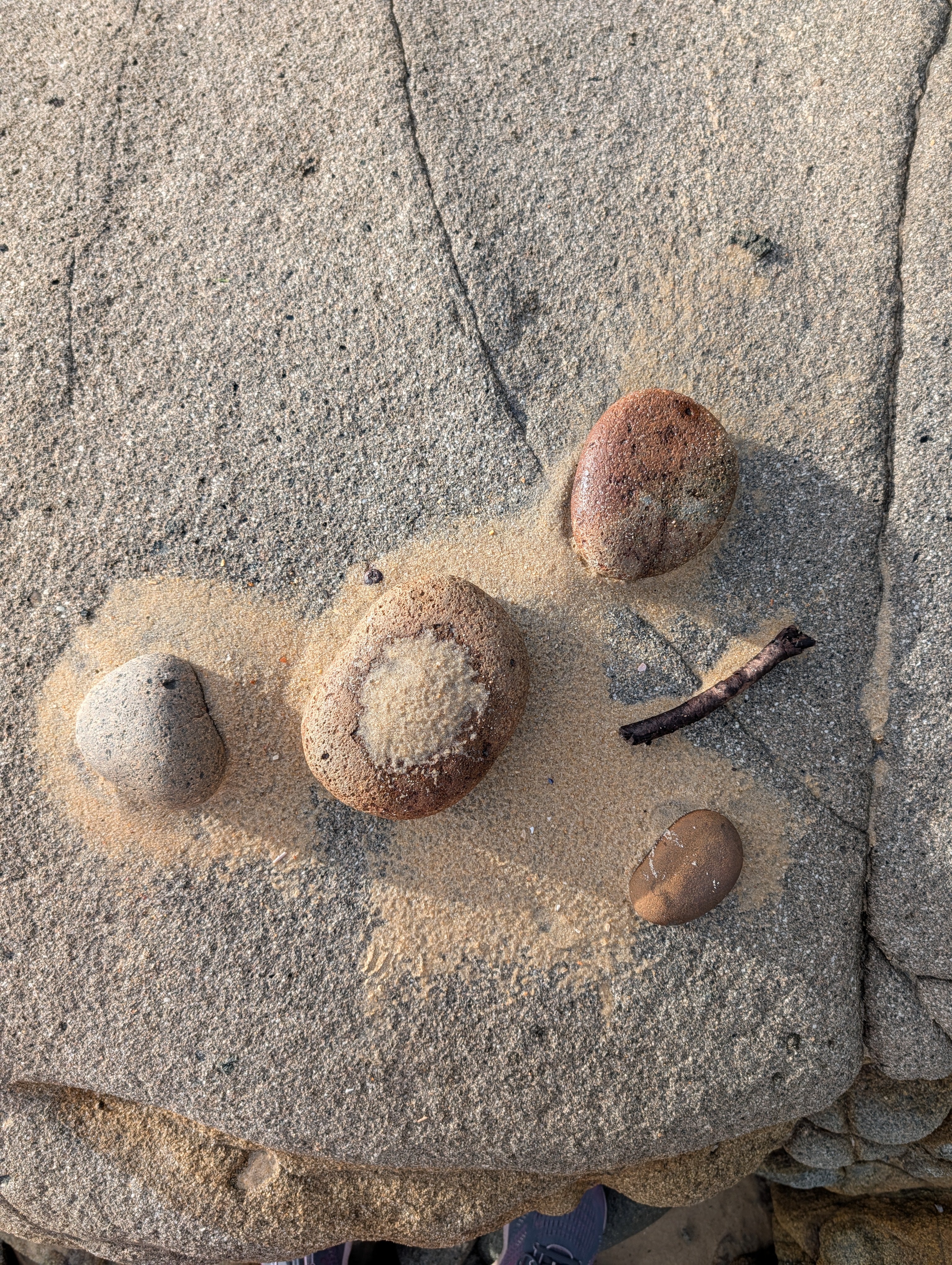 Handmade Ceramic Petite Bud Vase Set (3) | beach pebble vessels • single stem • style