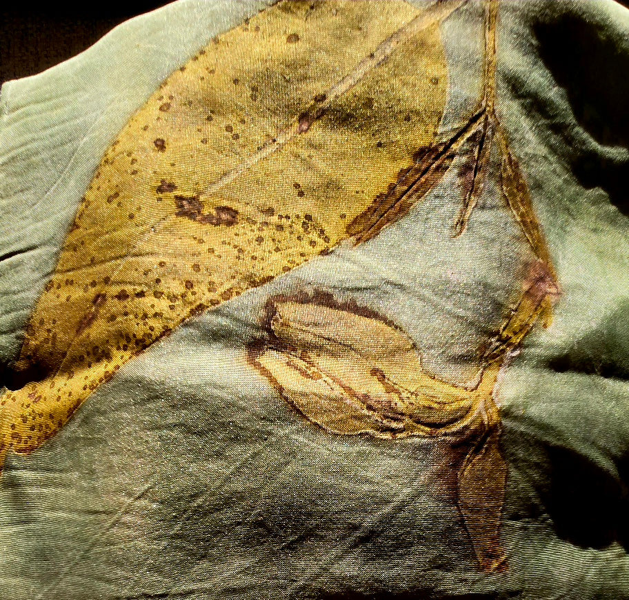 Eco Printed Silk Scarf – Botanical Leaf Print