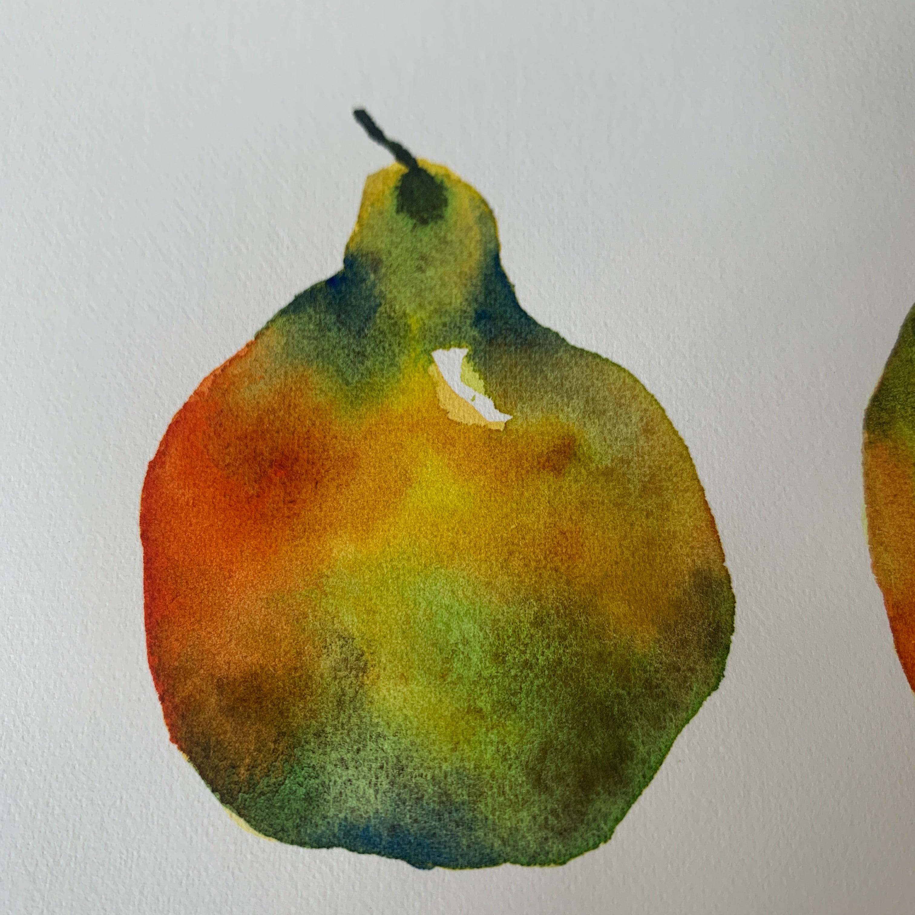 Original Hand-painted Watercolour Artwork - "Pair of Pears"