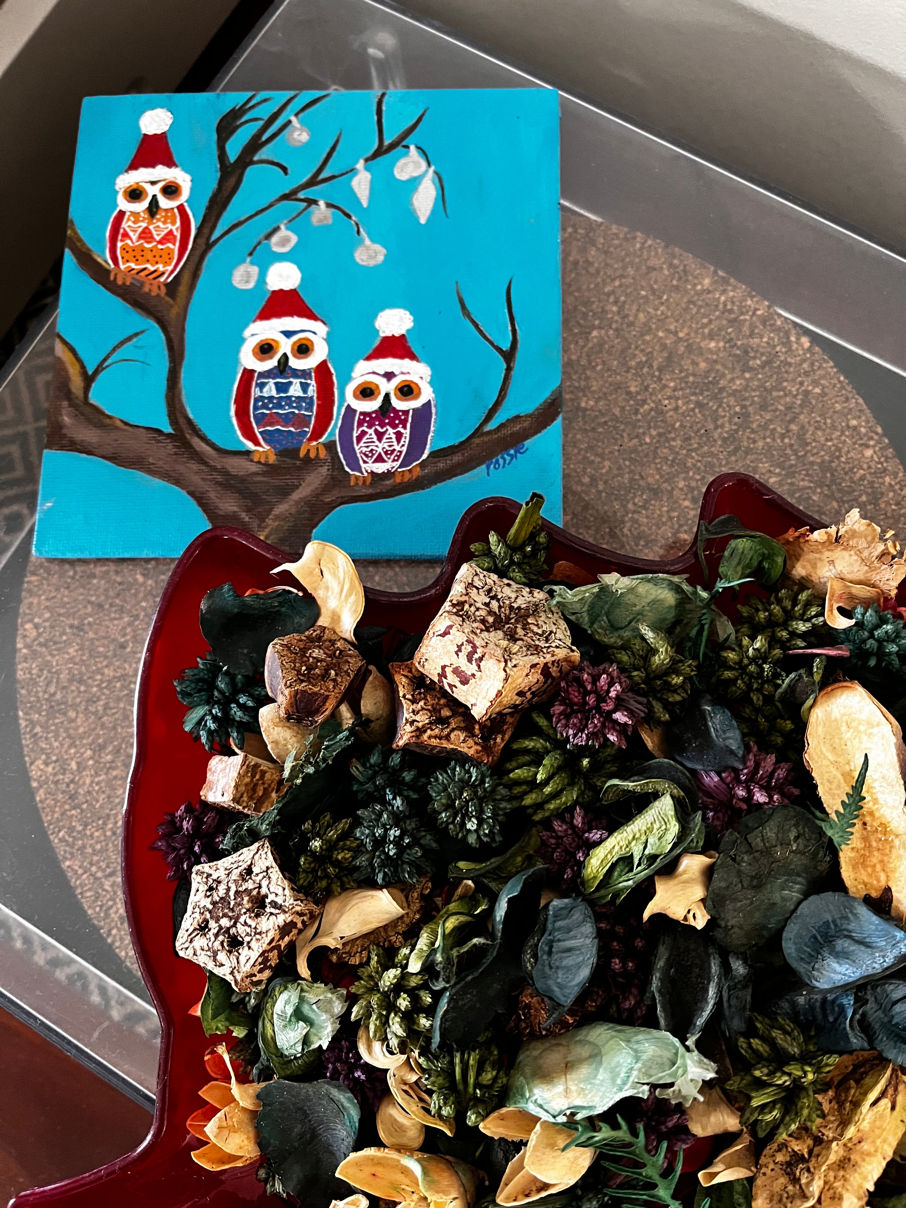 Owls in christmas hats