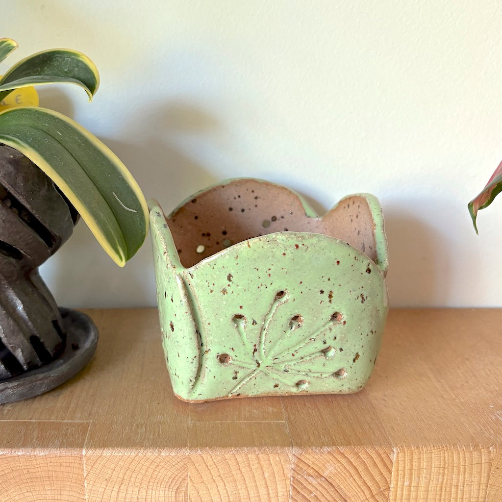 Ceramic square orchid pot – petal design