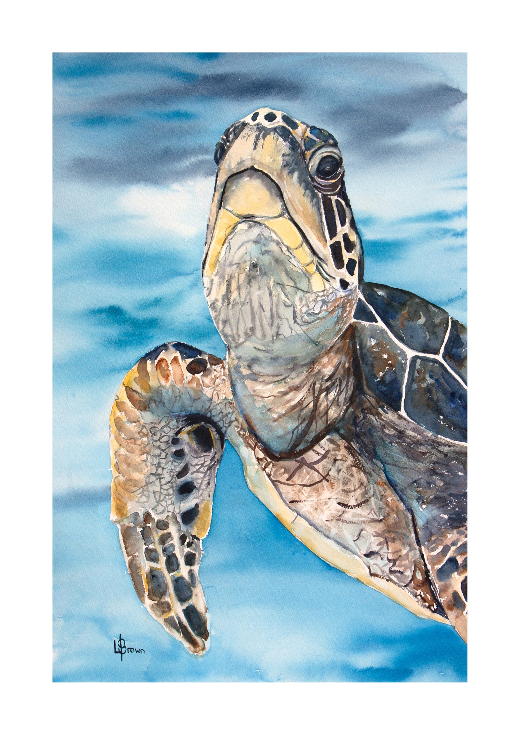 Turtle A3 Fine Art Print