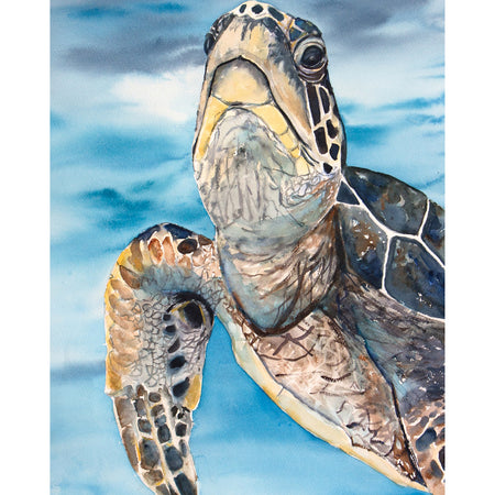 Turtle A3 Fine Art Print
