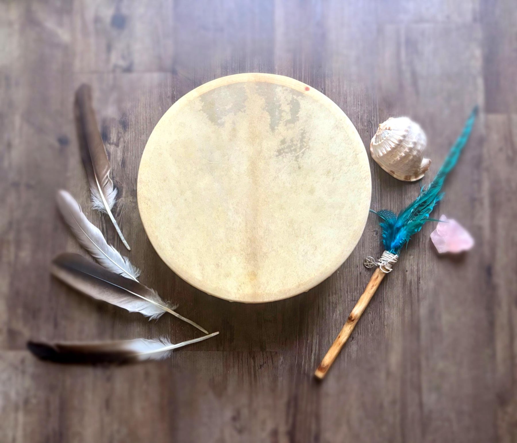 ONE OF A KIND TRAVEL SIZE Shamanic Drum- Goat 14” panther spirit!