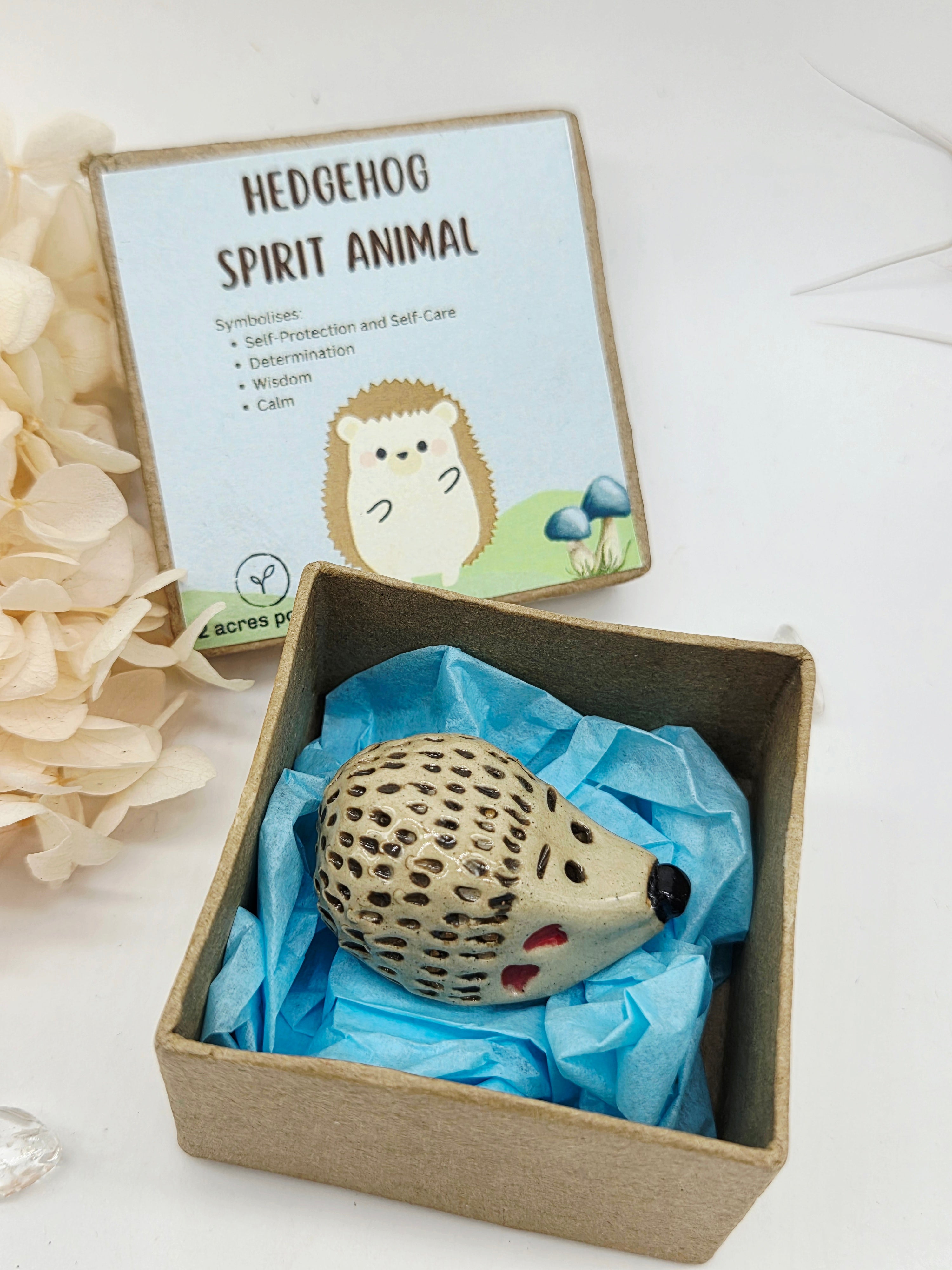Spirit Animal - Hedgehog