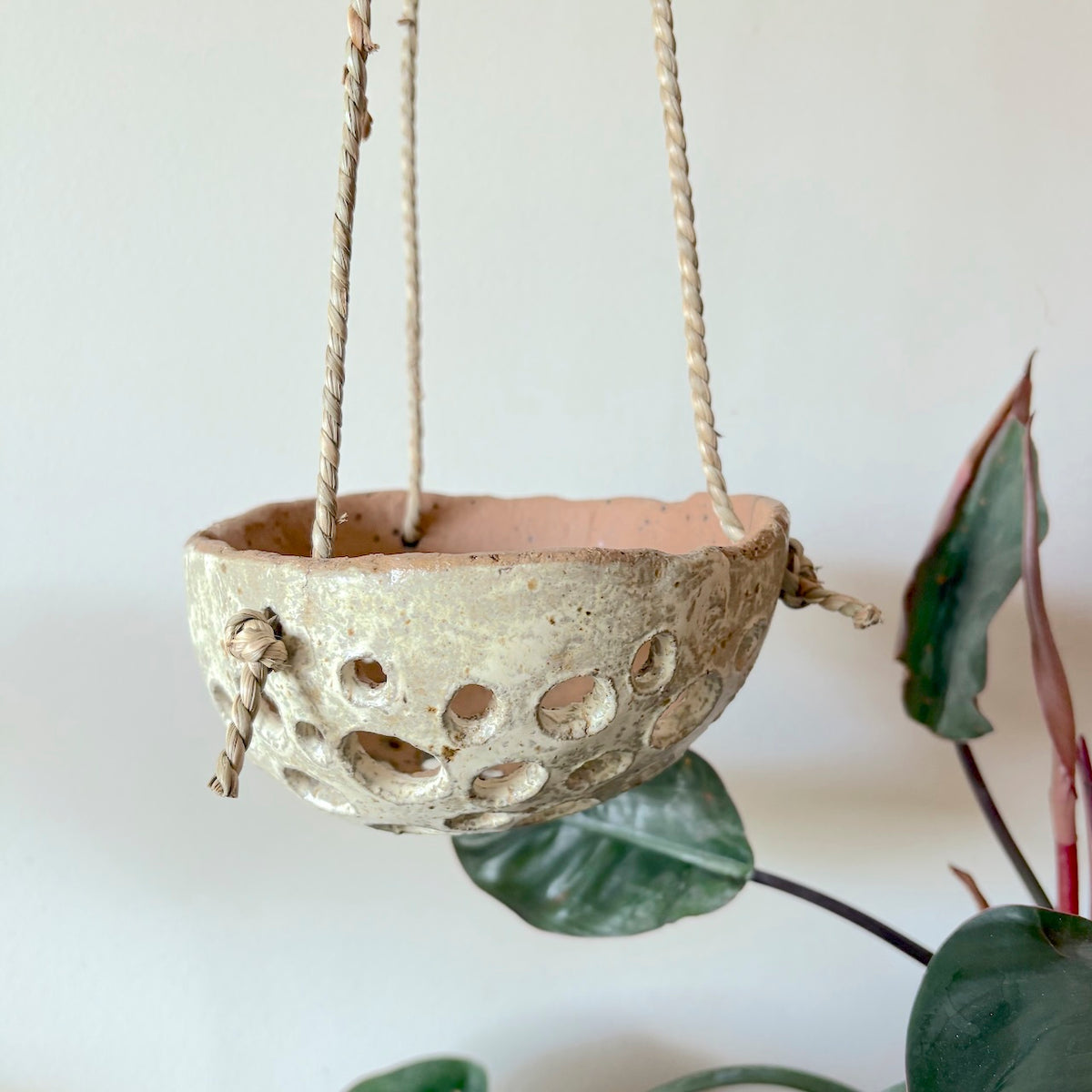 Ceramic dome hanging orchid pot