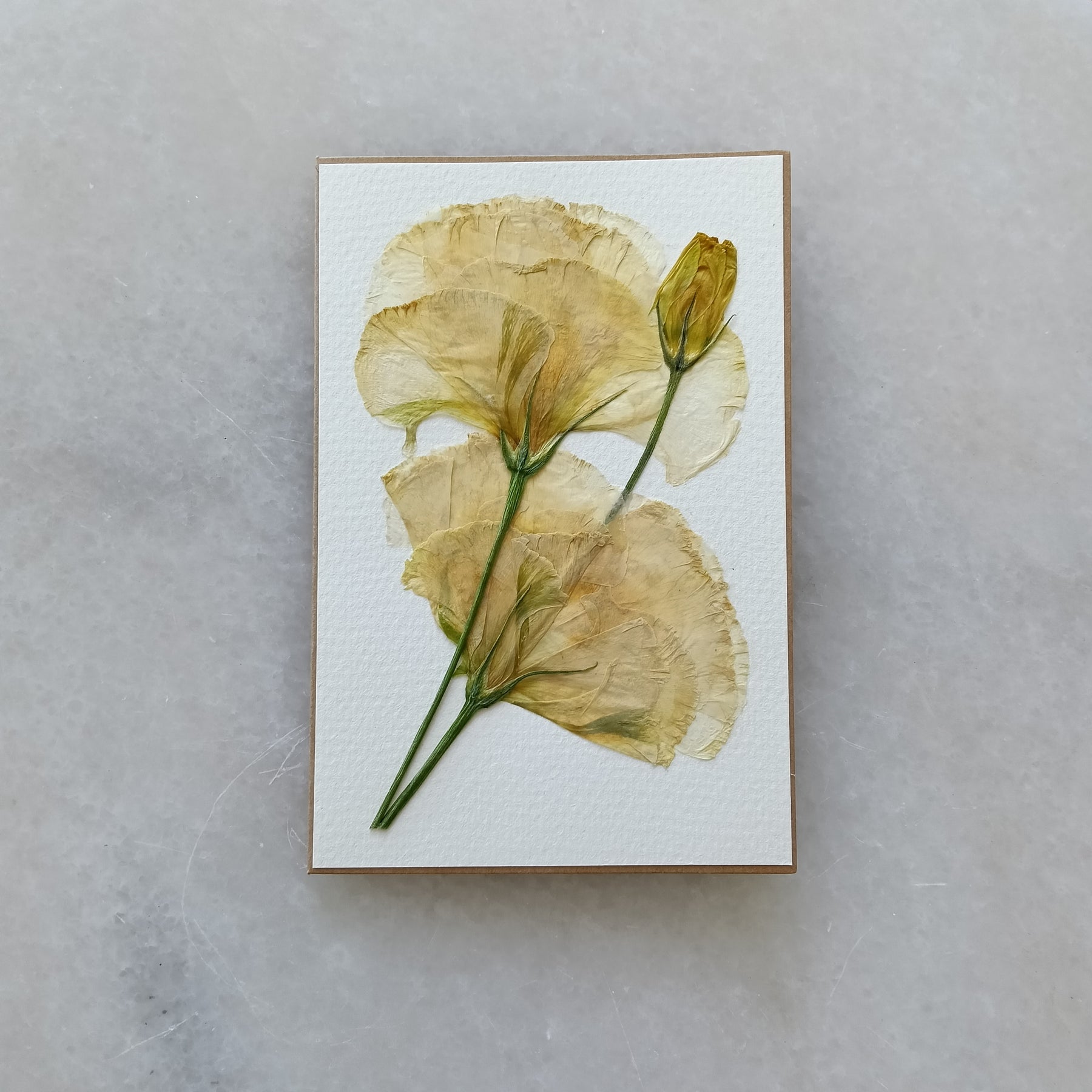Simply Lissy | Pressed Flower Handmade Card