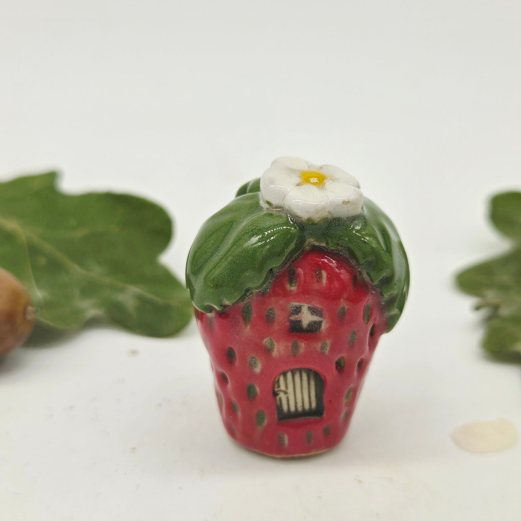 Strawberry Tiny Cottage - Brown Door