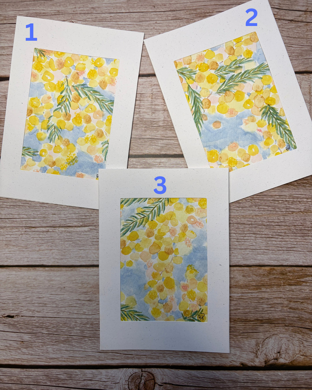 Original Hand-Painted Greeting Card I Wattle Collection