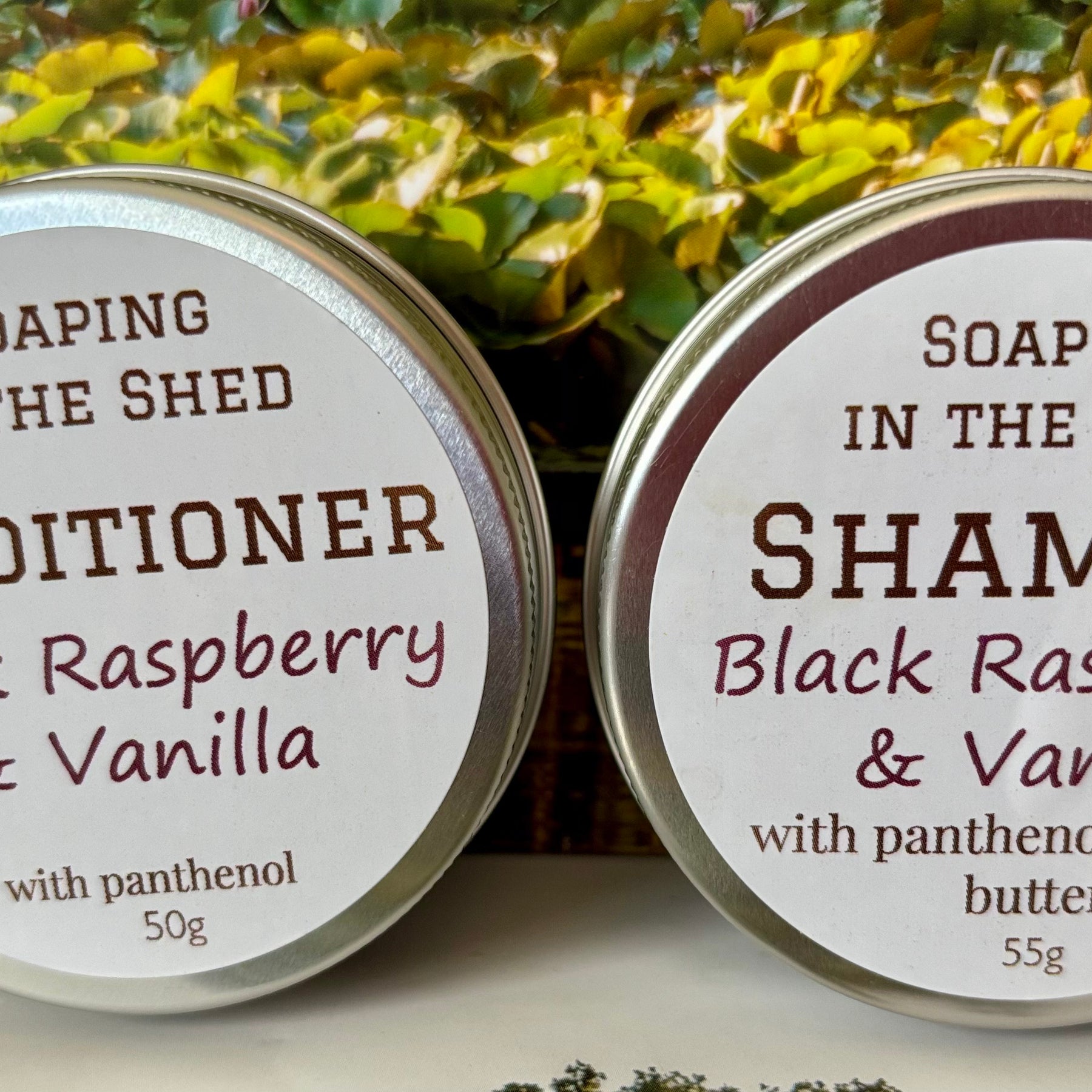 Black Raspberry & Vanilla Solid Shampoo & Conditioner Bars. Twin Pack
