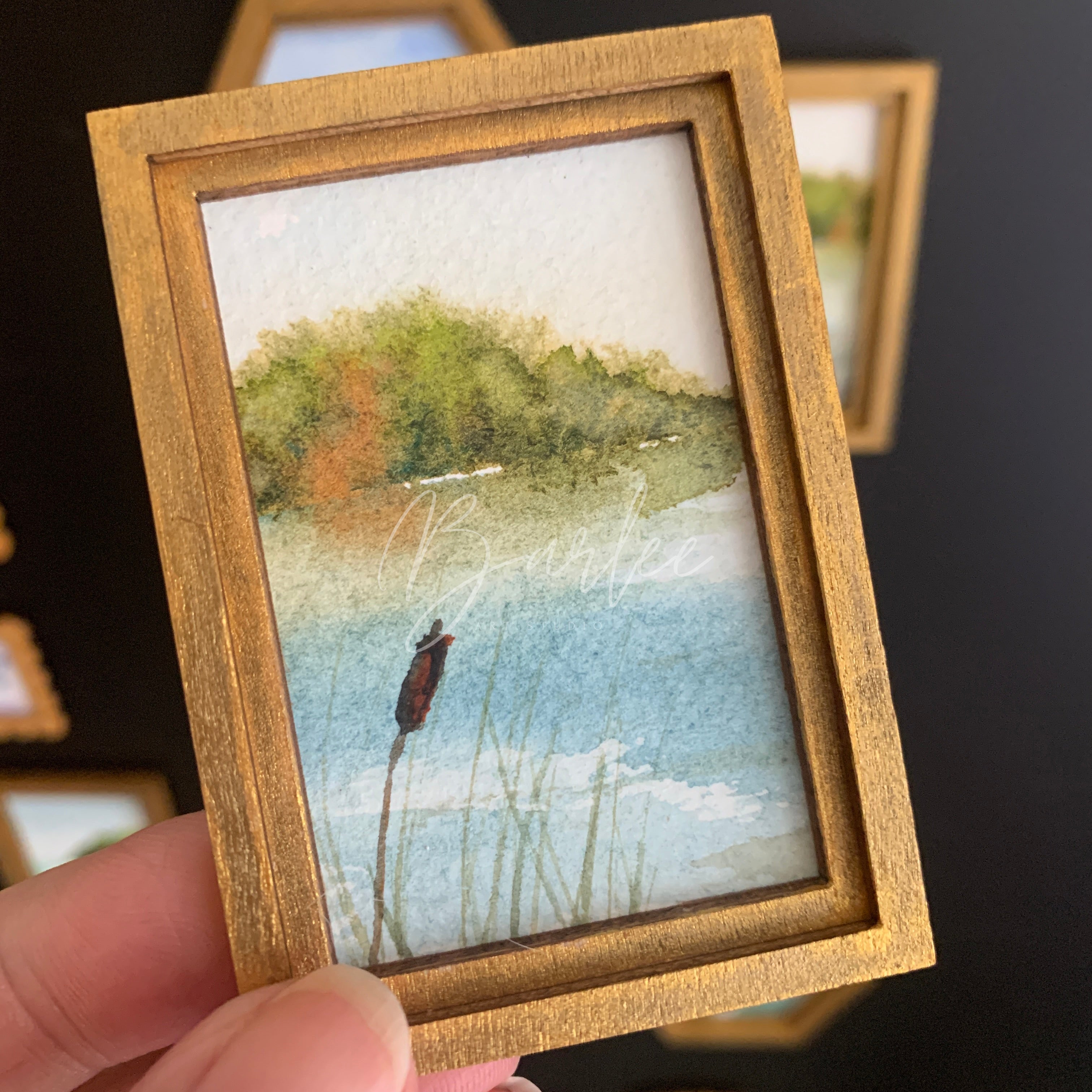 Large Hand Painted Fridge Magnet Set - 3 Framed Original Mini Paintings