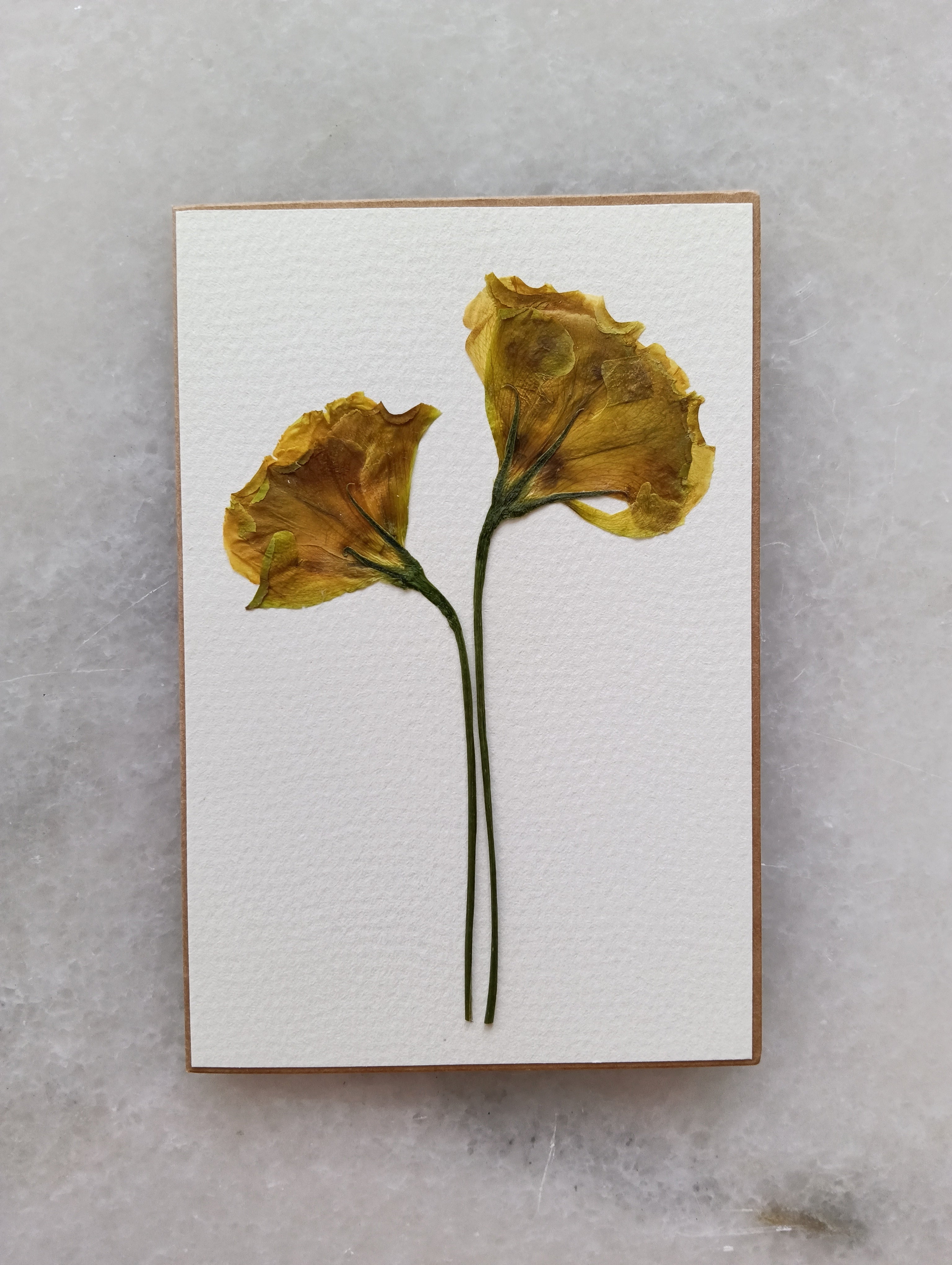 Simply Lissy | Pressed Flower Handmade Card