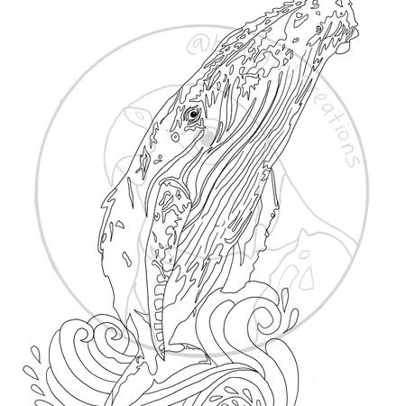 Whale colouring in page PDF
