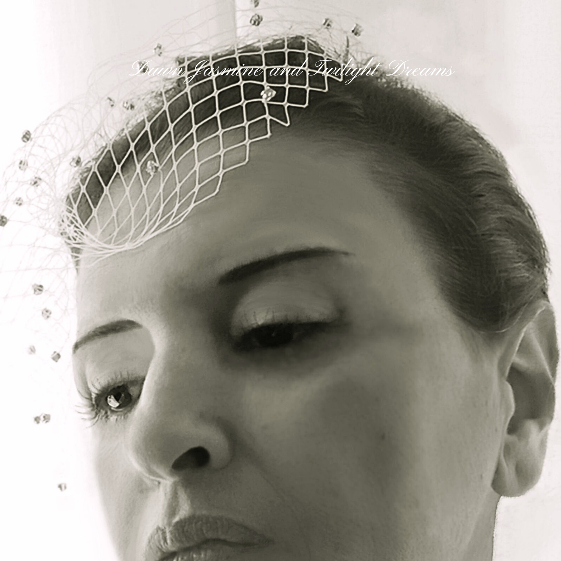Swarovski® Crystal Side Birdcage Bridal Veil | The Phoebe