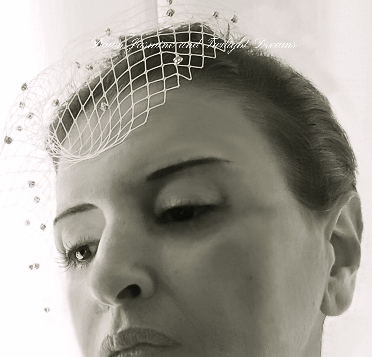 Swarovski® Crystal Side Birdcage Bridal Veil | The Phoebe