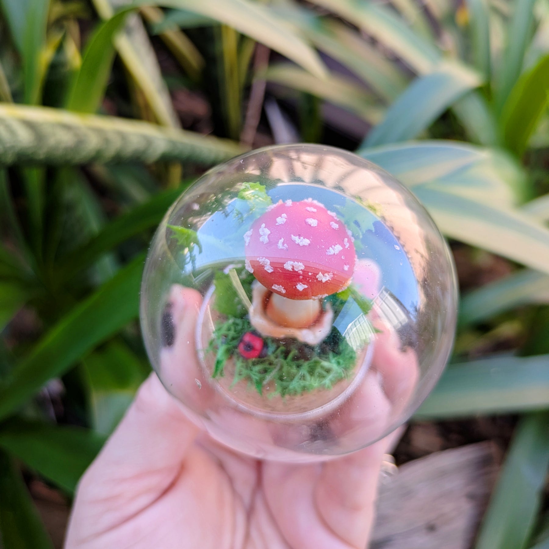 Mini Enchanted Amanita Mushroom Dome with a Ladybug