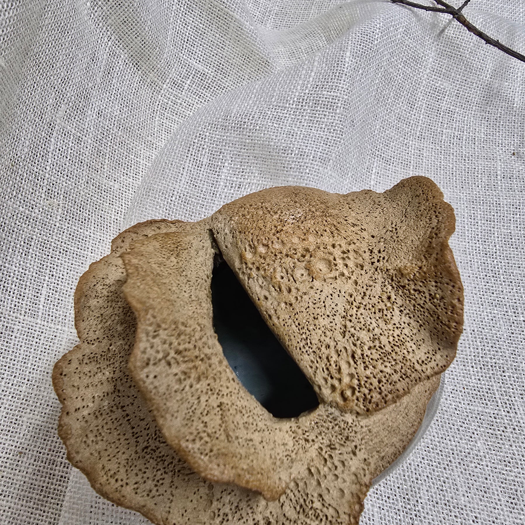 Rockpool series small vase