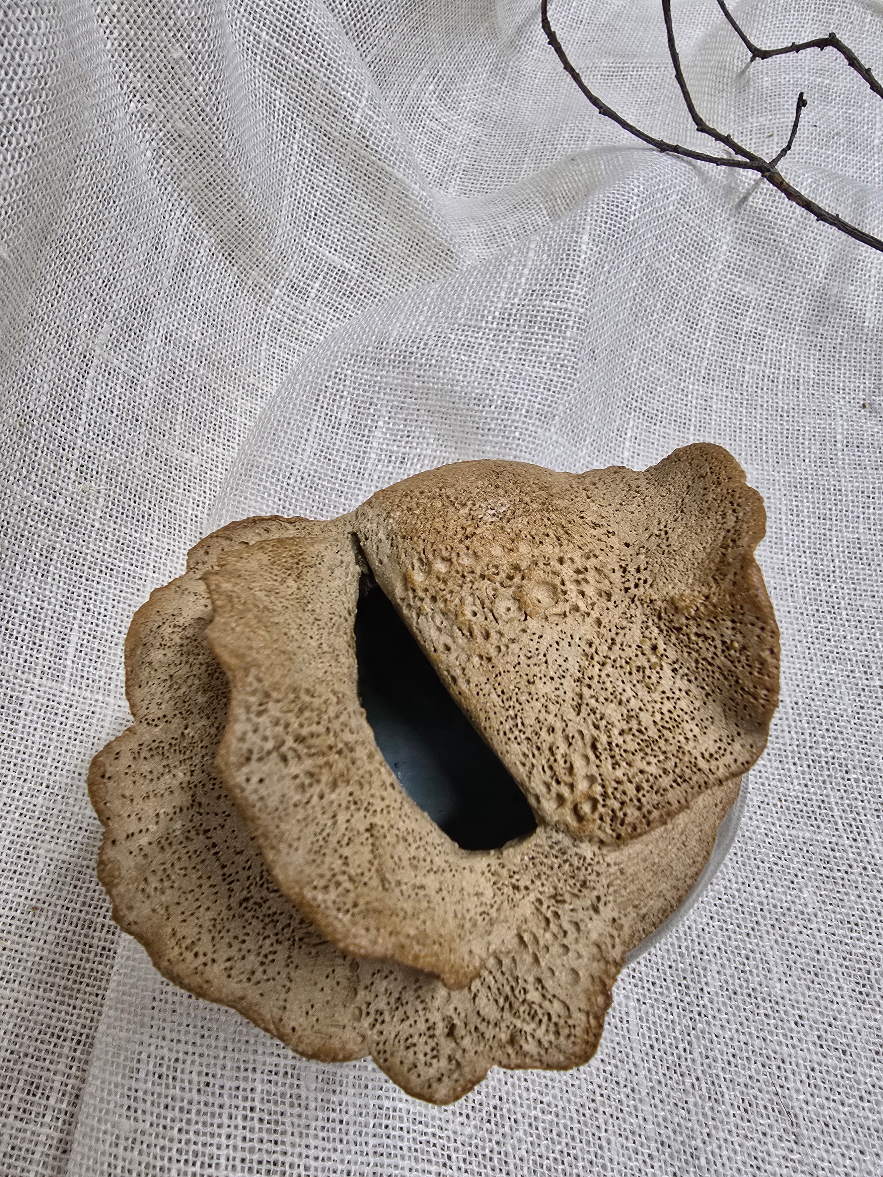 Rockpool series small vase