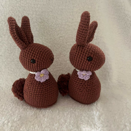 Chocolate coloured bunny