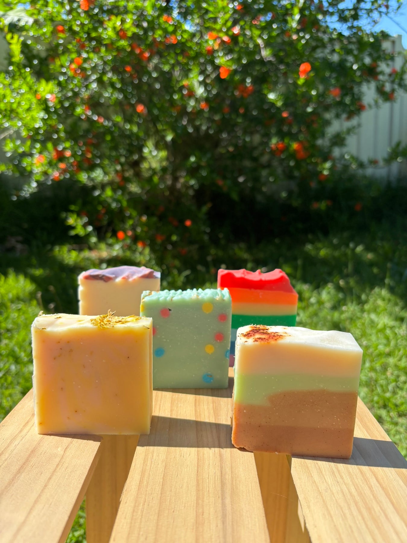 Tallow & Coconut 5 Handmade Soaps Pack
