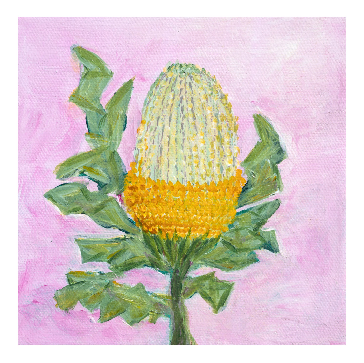 Banksia Gold - Fine Art Print