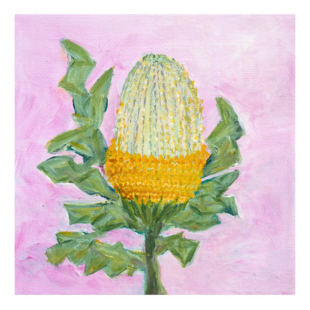 Banksia Gold - Fine Art Print
