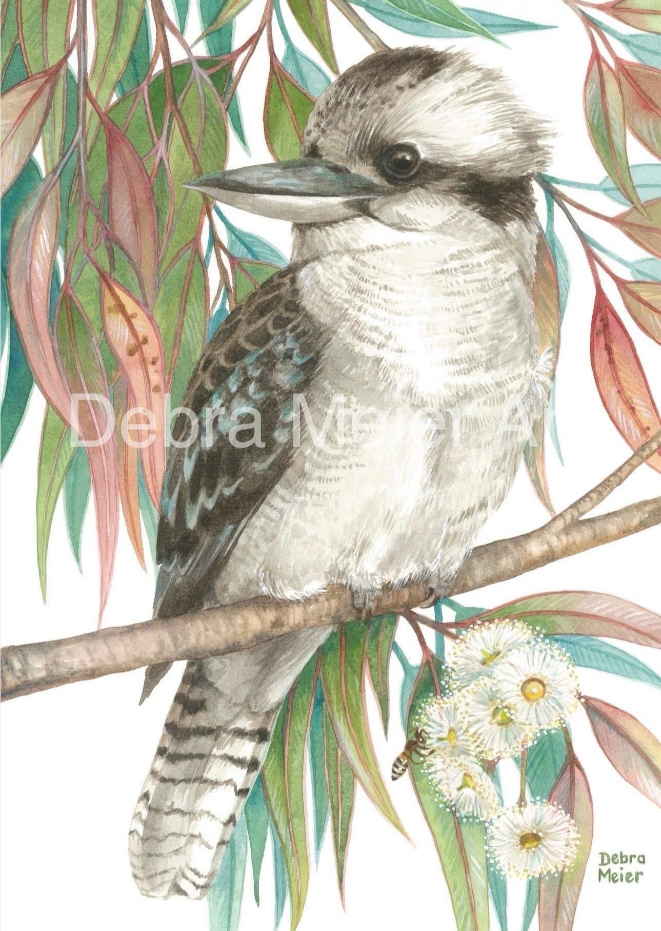 Kookaburra with Gumleaves art print by Debra Meier Art