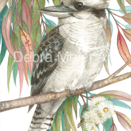 Kookaburra art print by Debra Meier Art
