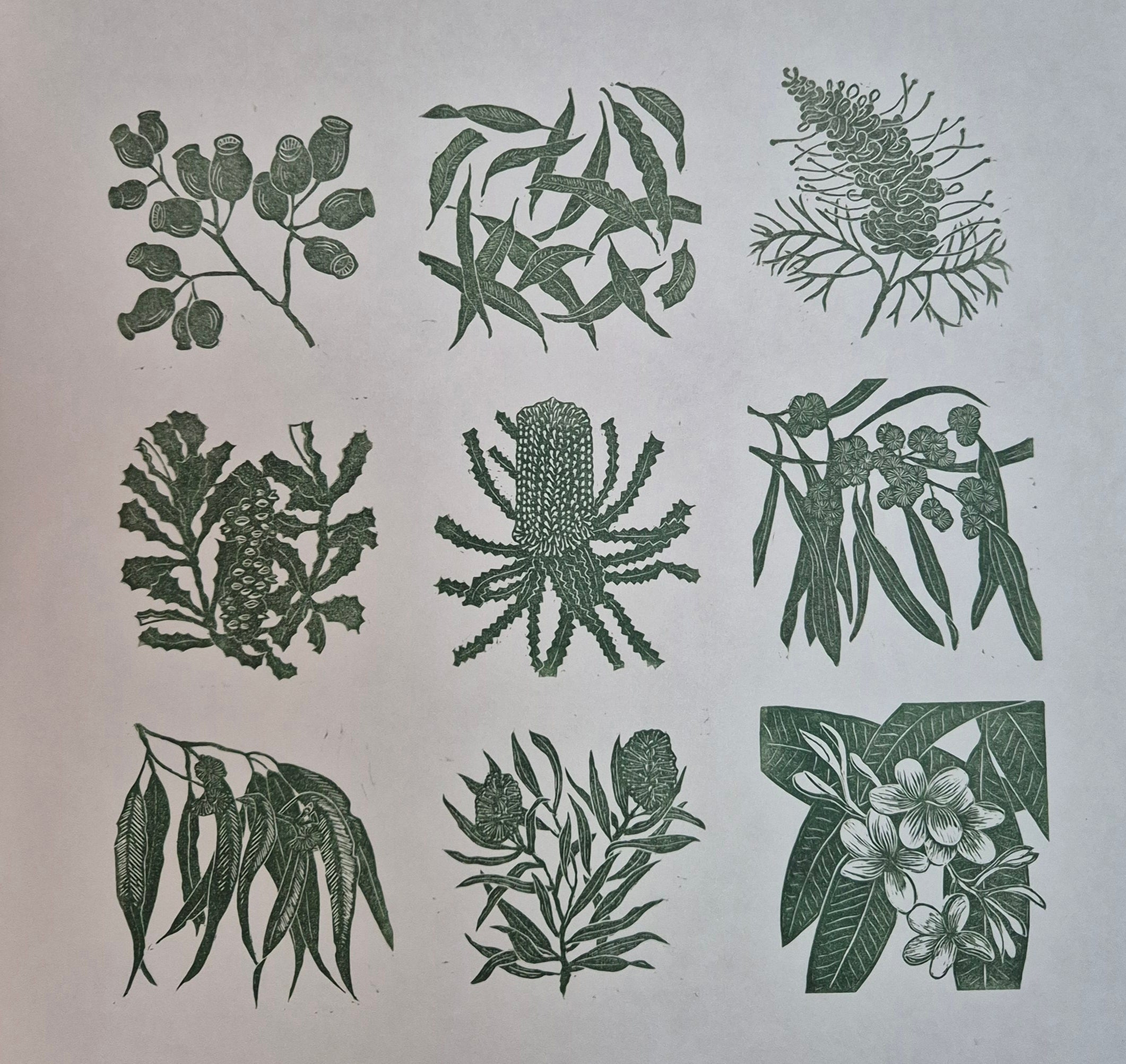 Linocut original artwork native plants green