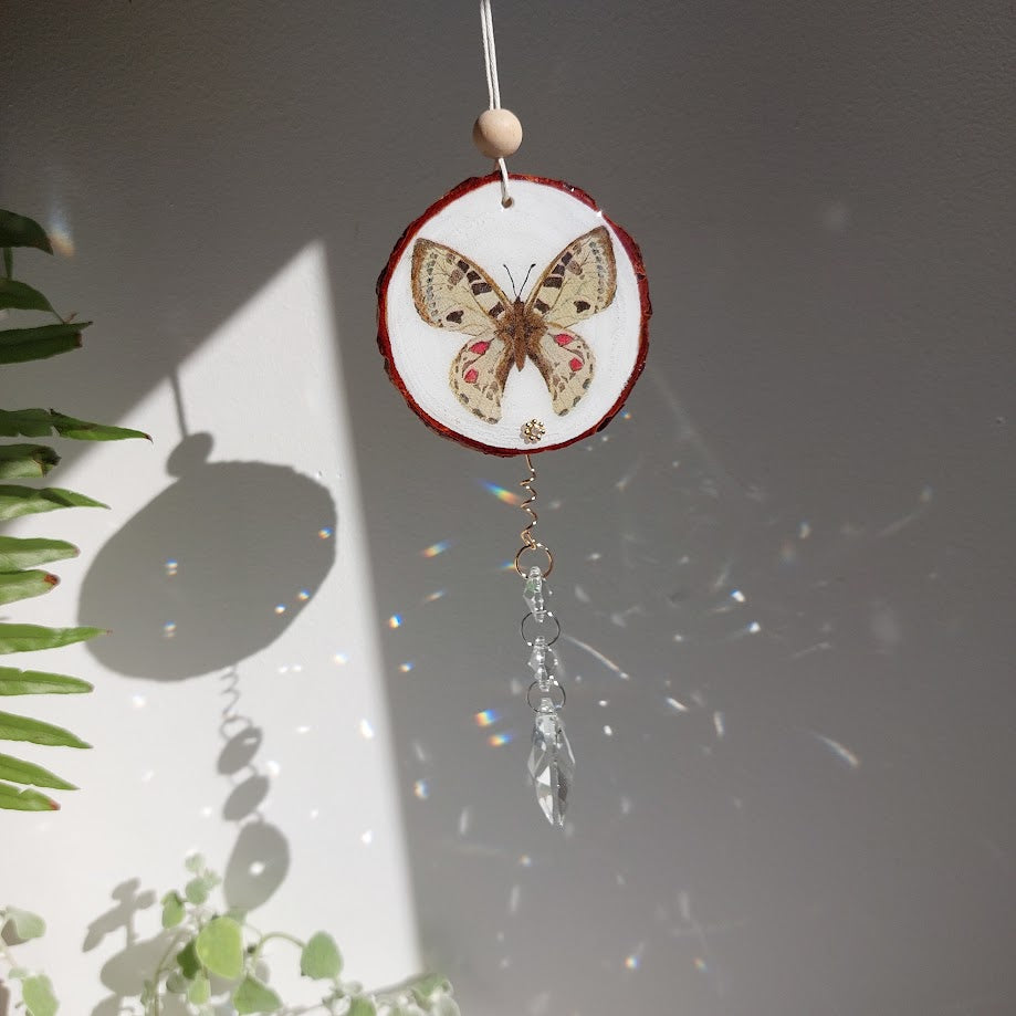 Crystal Suncatcher, Handmade Window Hanging, Butterfly Wood Art