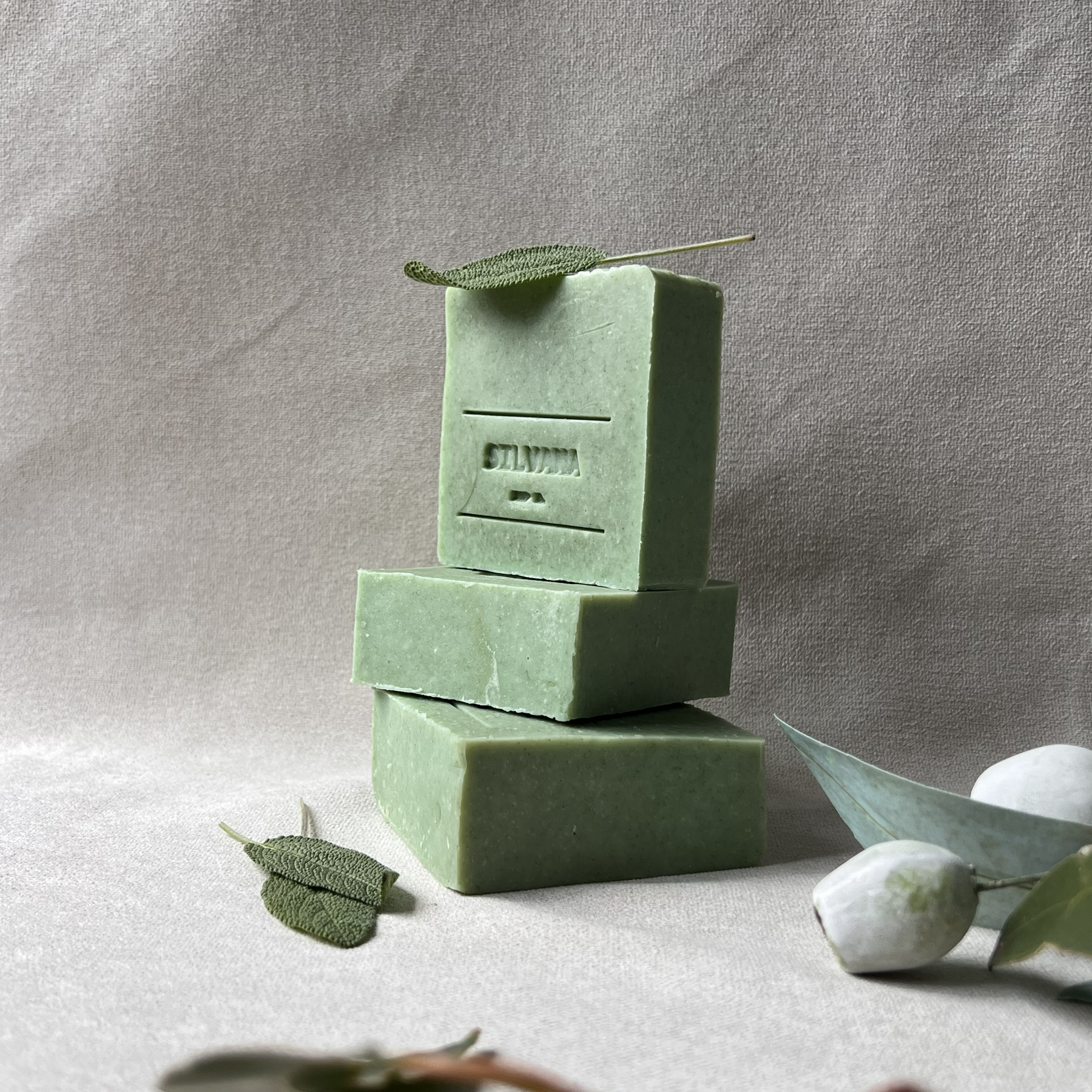 Botanical collection | Sage & wild mint