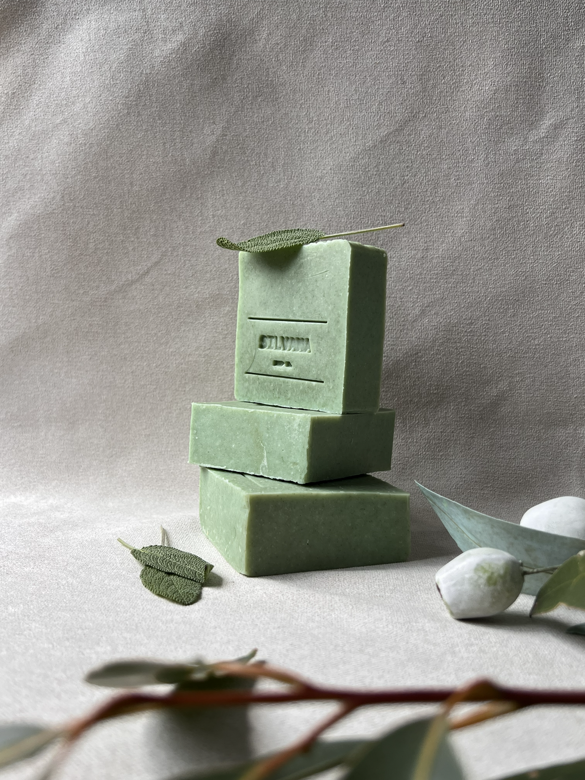 Botanical collection | Sage & wild mint