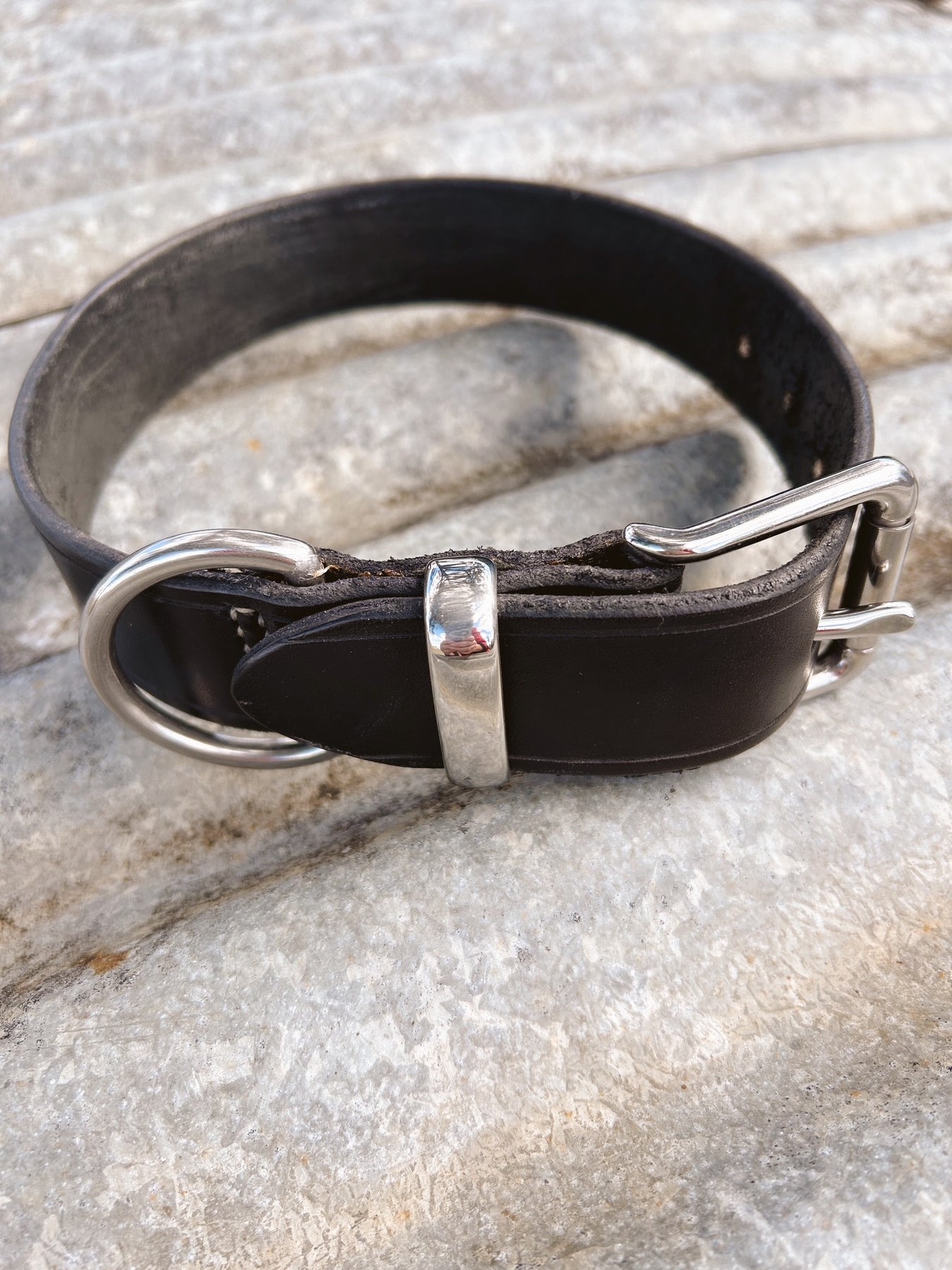 "The Ringo" Dog Collar