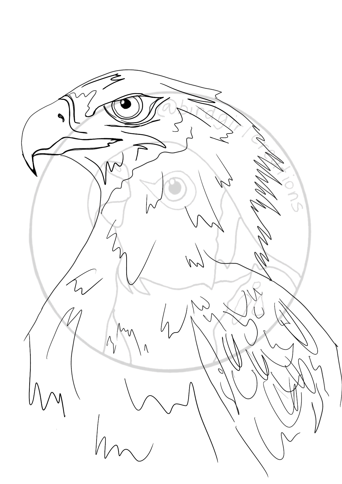 Wedgetailed Eagle colouring in PDF