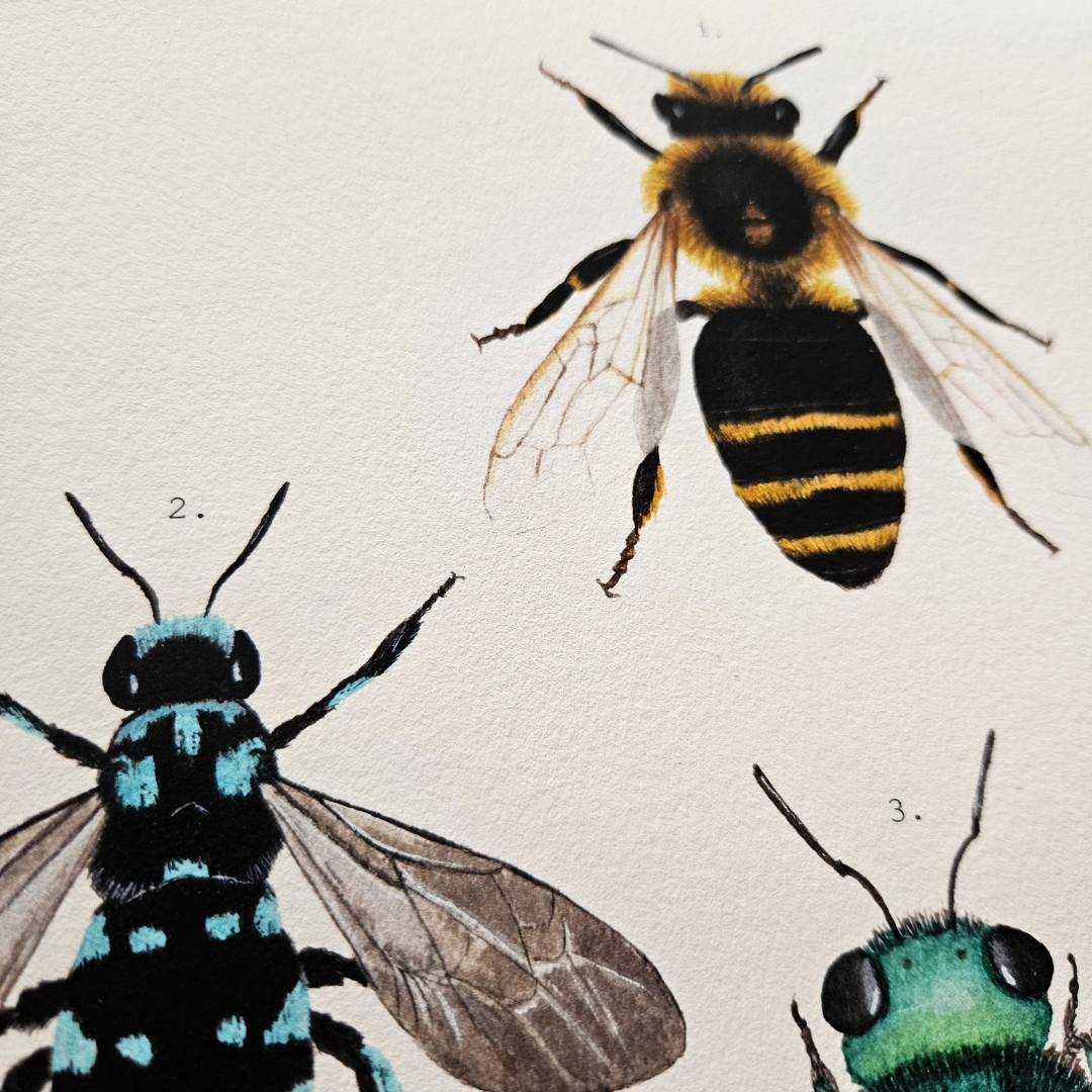 Watercolour Art Print - 'Bee Collage'