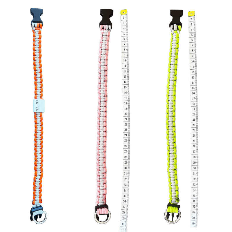Wildhorse Custom Paracord ID Collar