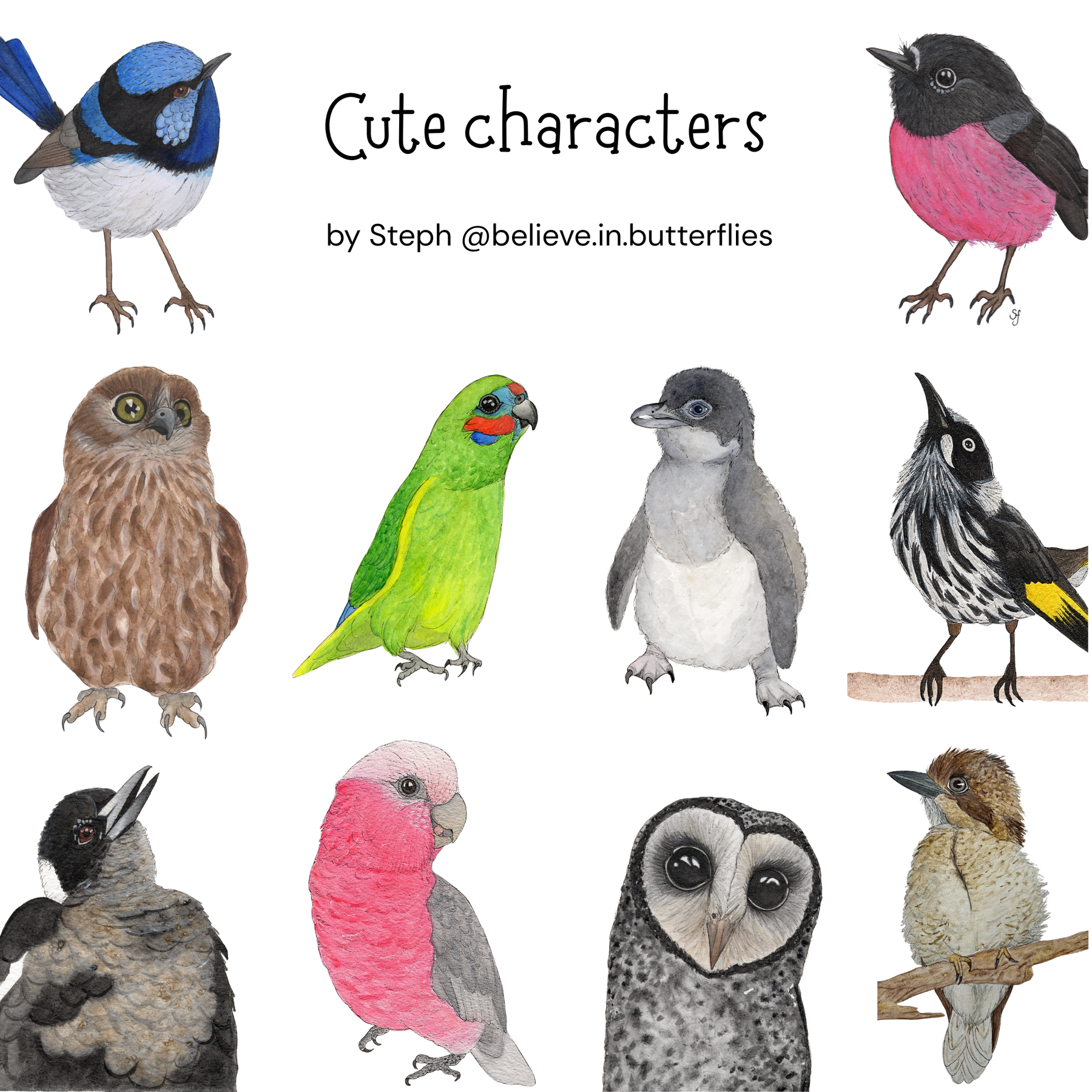 Bird gift tags 10 pack (5 sets available)