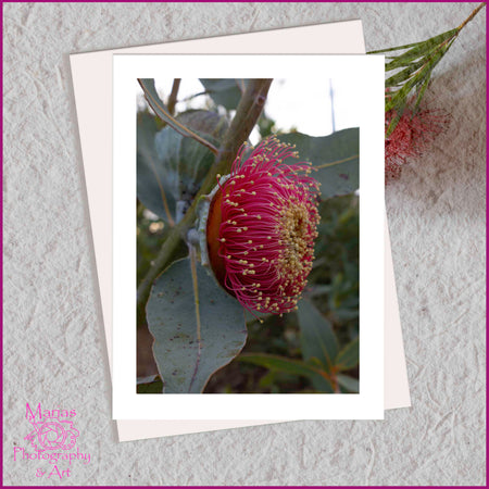 Blank Greeting card | Native Beauty