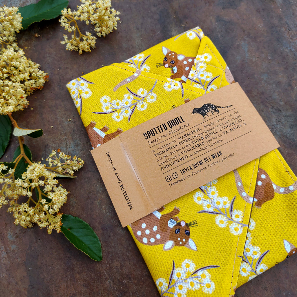 Spotted Quoll Bandana