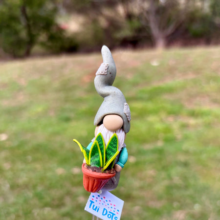 Tiny Gnome - Snake Plant