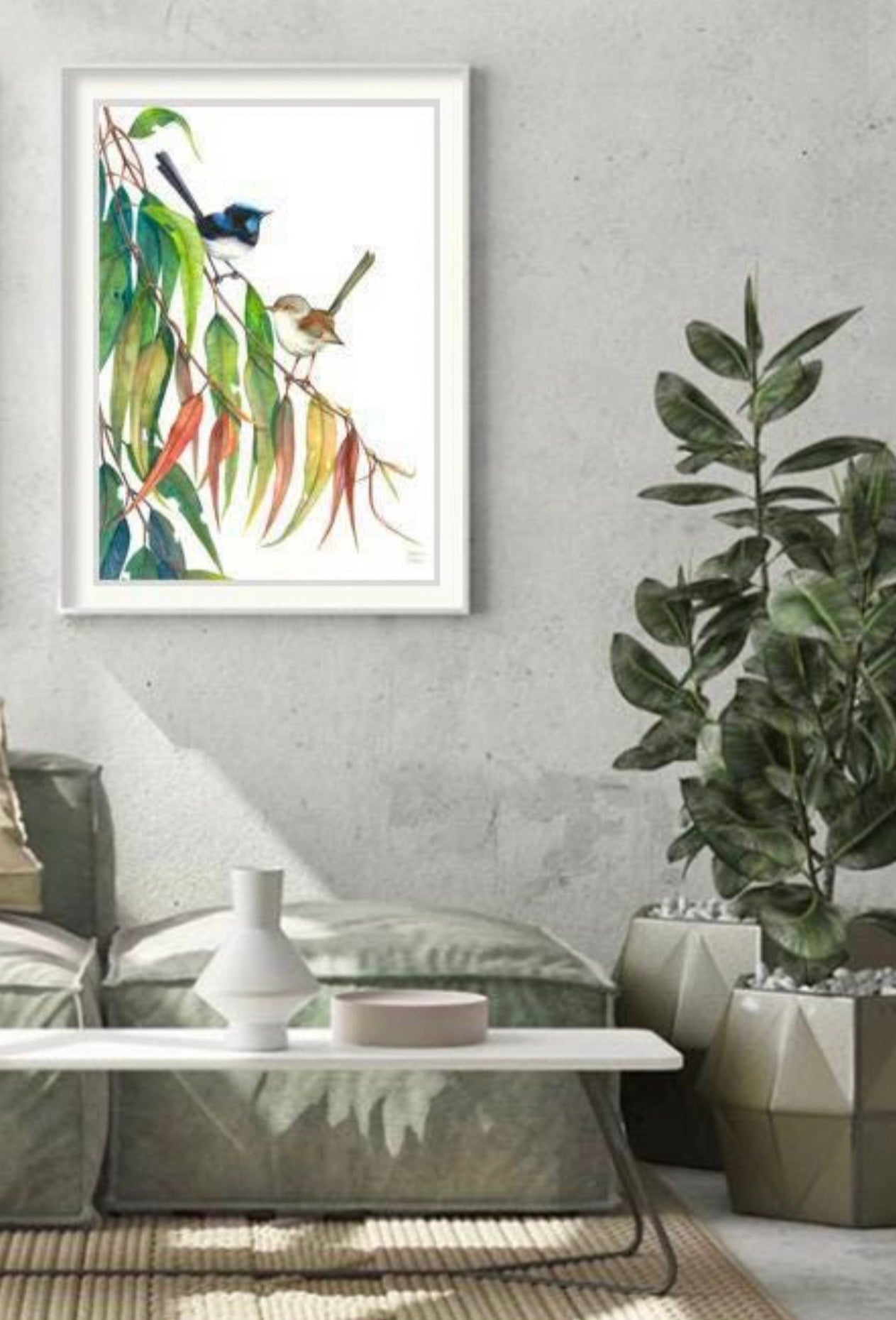 Superb Fairy Wren Pair art print by Debra Meier