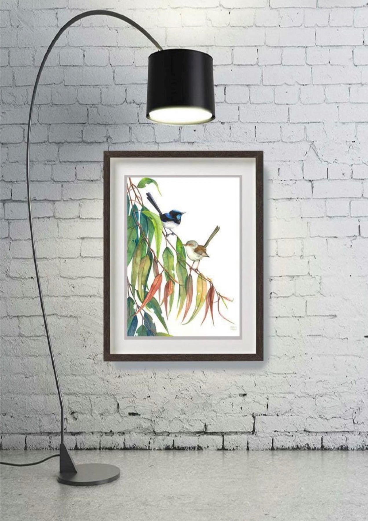 Superb Fairy Wren Pair art print by Debra Meier
