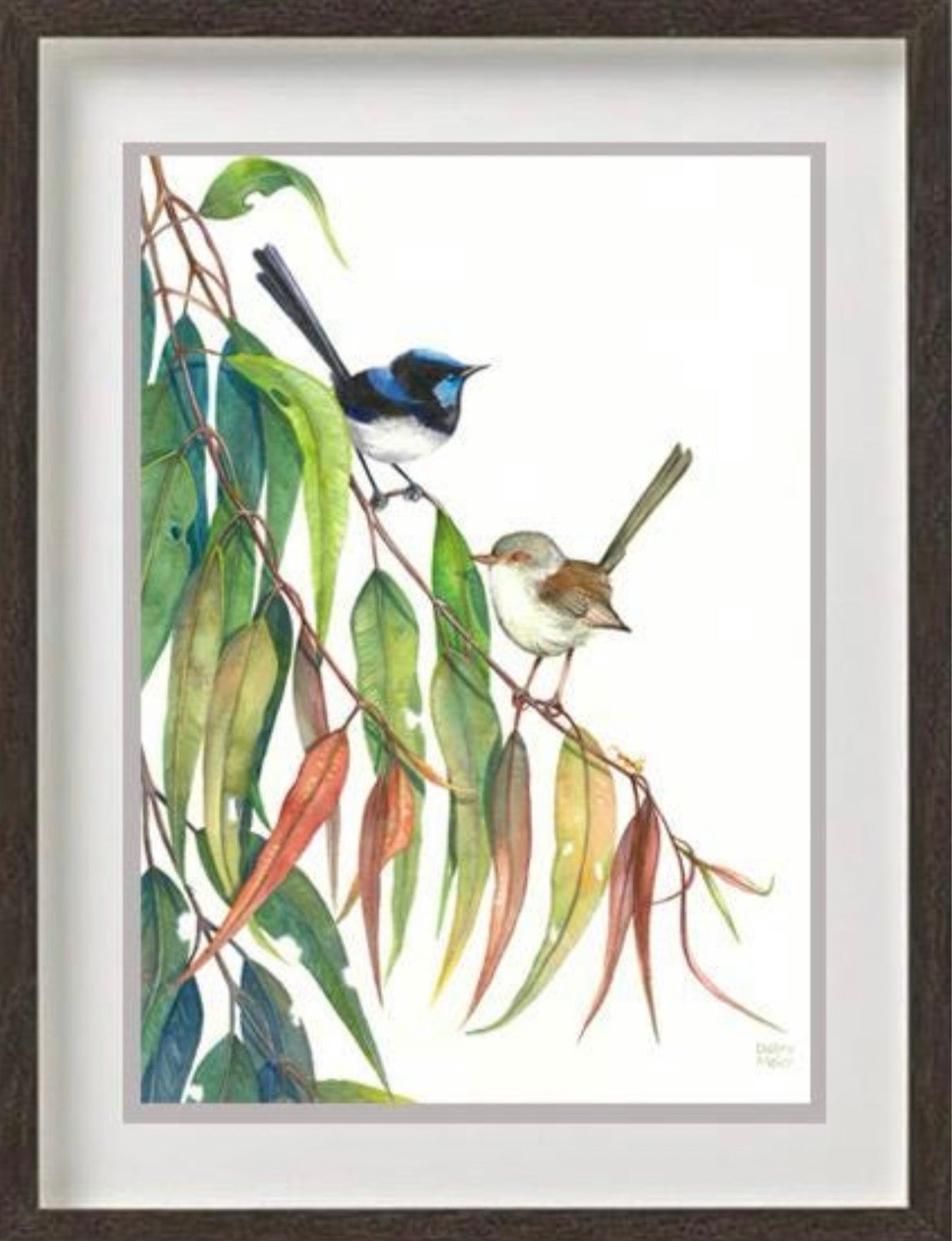 Superb Fairy Wren Pair art print by Debra Meier