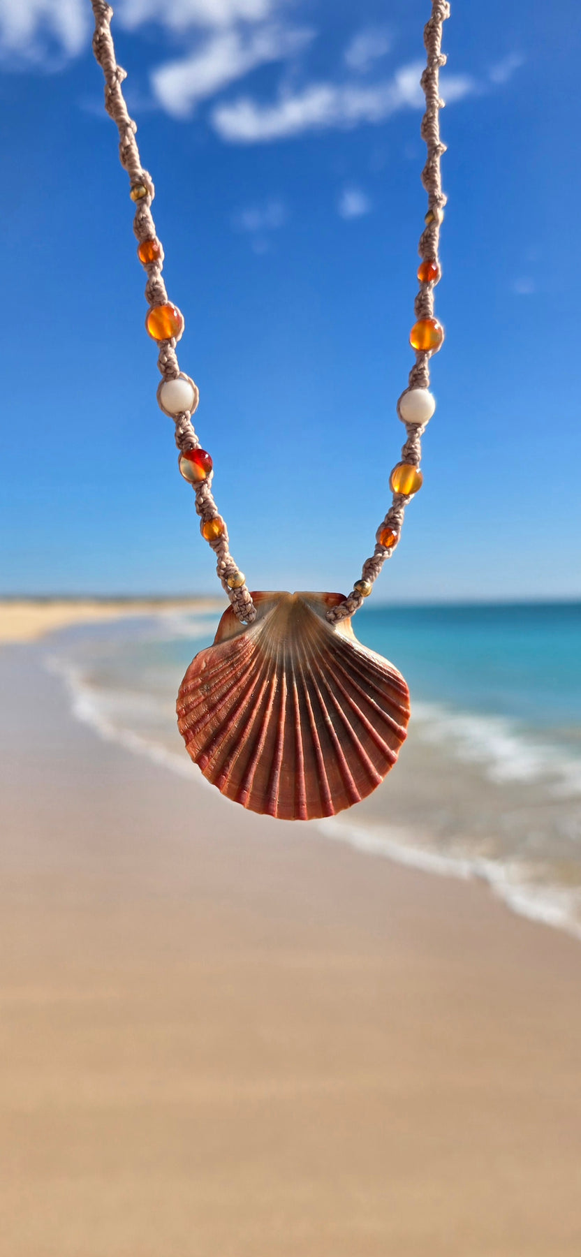 Scallop Shell Necklace with Carnelian & Shell Beads