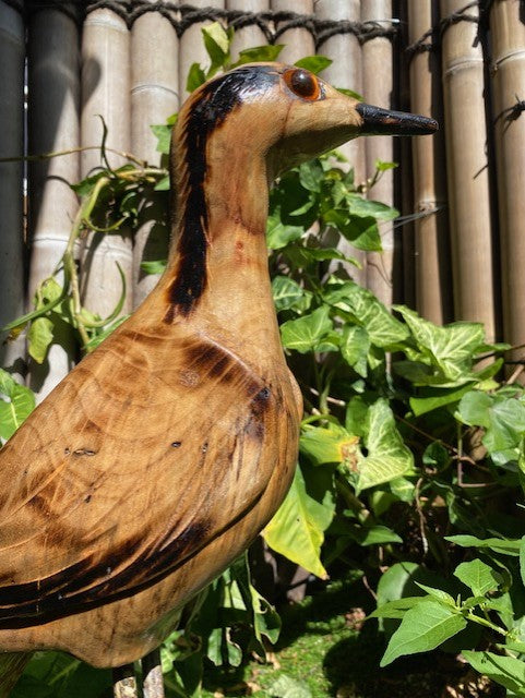 Hand carved wooden Bush Stone Curlew Scultpure