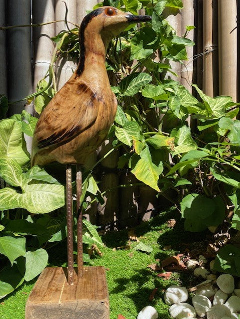 Hand carved wooden Bush Stone Curlew Scultpure