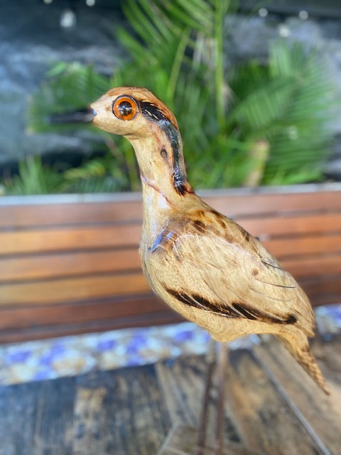 Hand carved wooden Bush Stone Curlew Scultpure